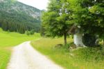 2014-07-05_Laengental-N-Hochweg (336). JPG